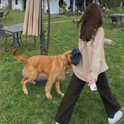 生火