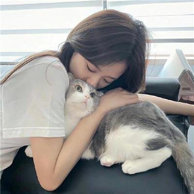 发现之岛